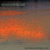 Water Reflects the Sun